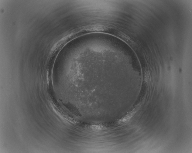 X0000056370302200508291408