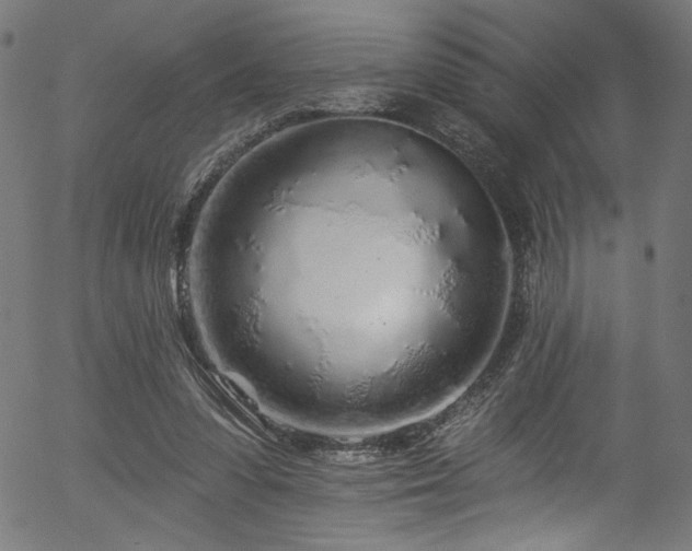 X0000056370303200508291408