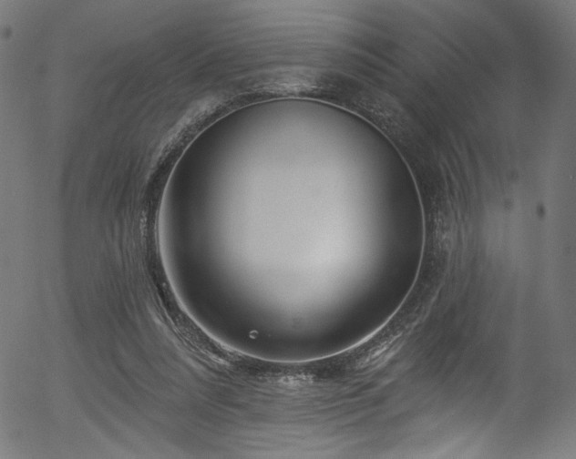 X0000056370304200508291408