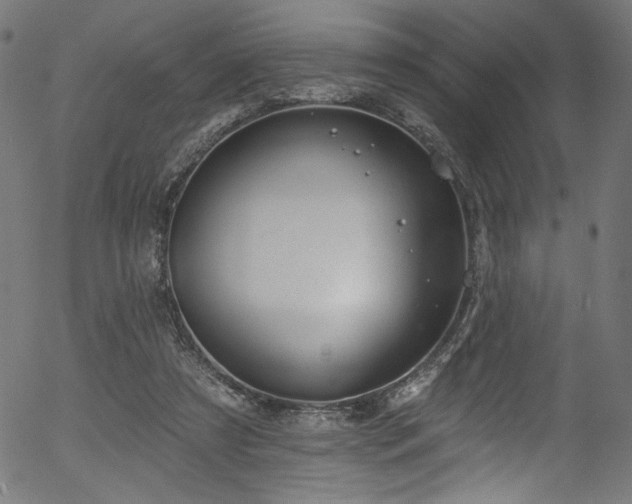 X0000056370305200508291408