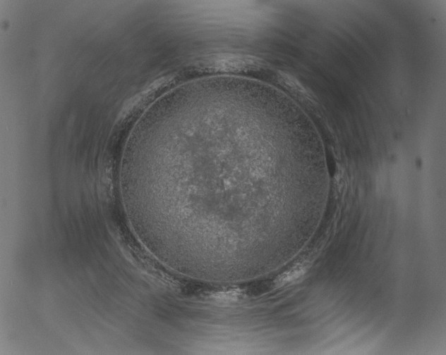 X0000056370306200508291408