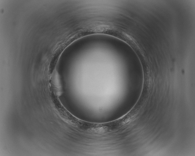 X0000056370307200508291408