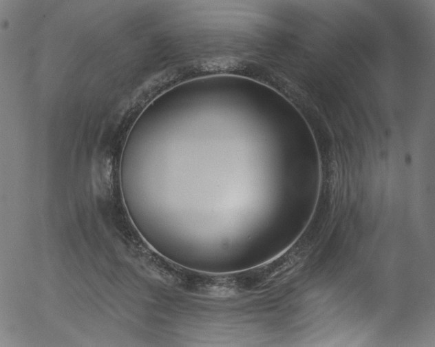 X0000056370308200508291408