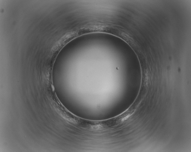 X0000056370309200508291408