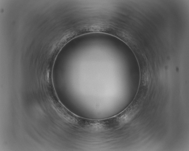 X0000056370310200508291408