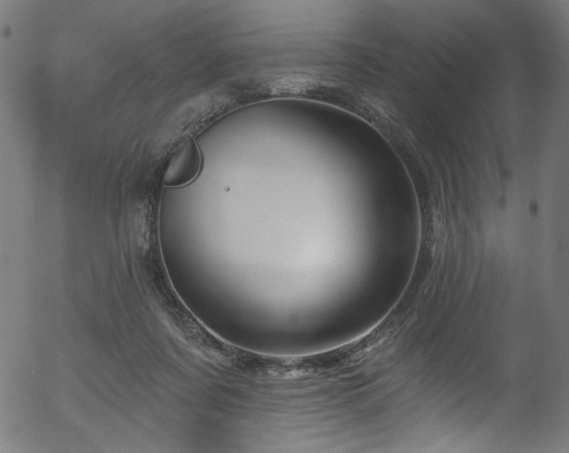 X0000056370311200508291408