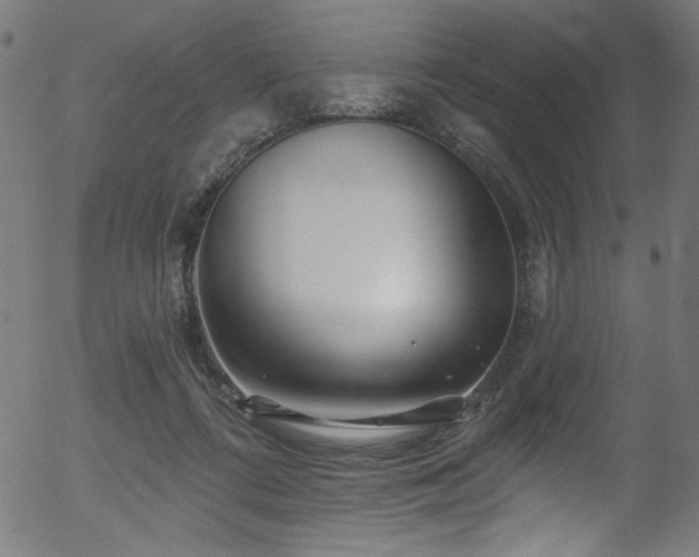 X0000056370312200508291408