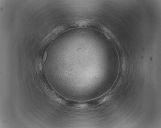 X0000056370313200508291408