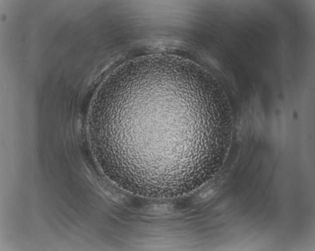 X0000056370314200508291408