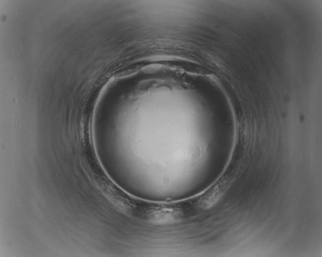 X0000056370315200508291408