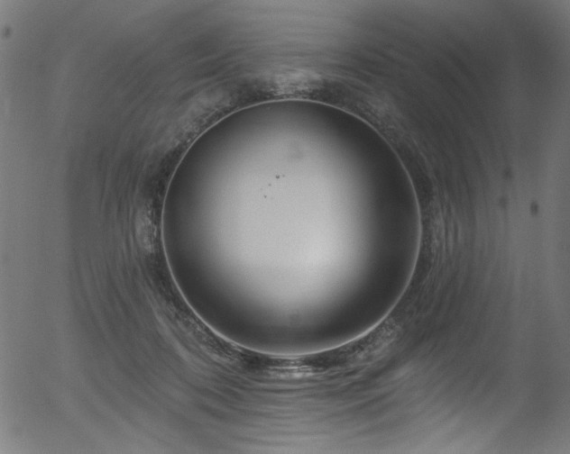 X0000056370316200508291408