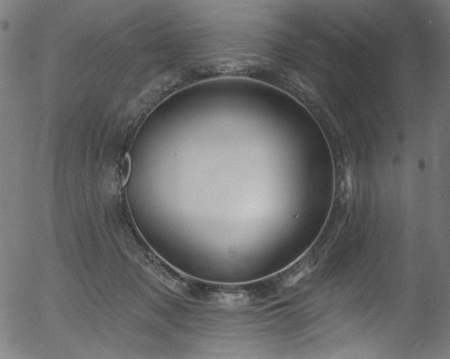 X0000056370317200508291408