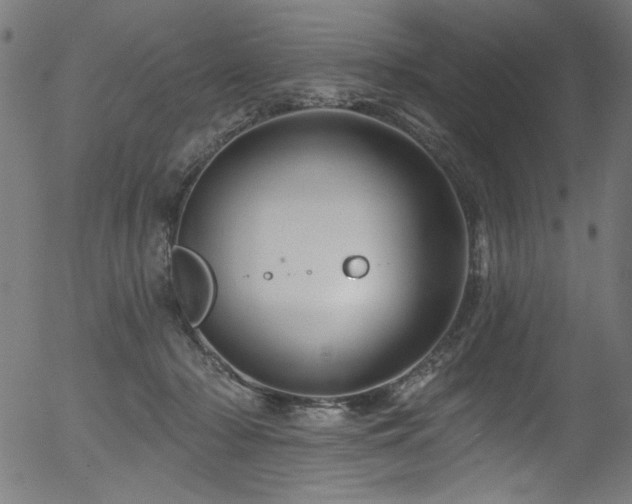 X0000056370318200508291408