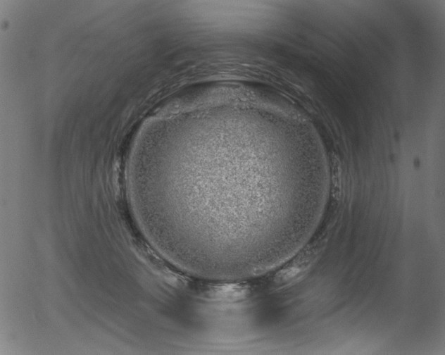 X0000056370319200508291408