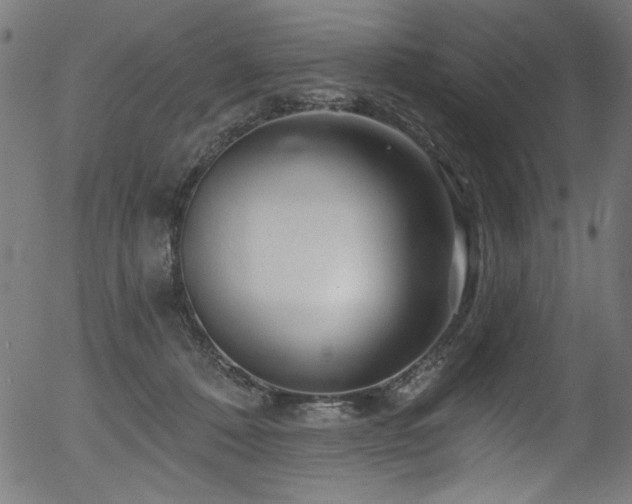 X0000056370320200508291408