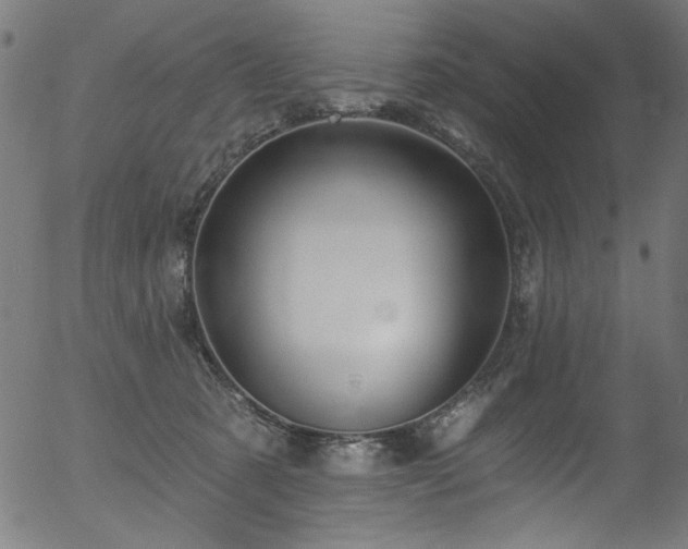 X0000056370321200508291408