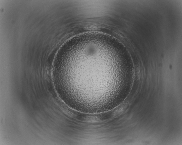 X0000056370322200508291407