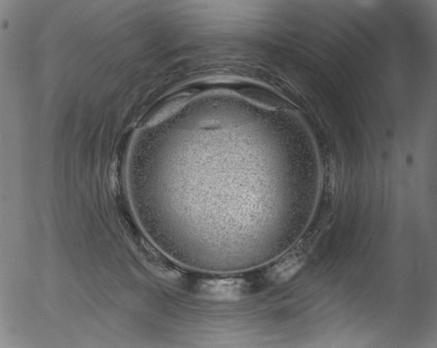 X0000056370323200508291407