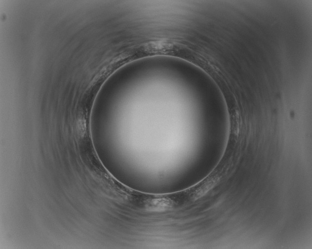 X0000056370324200508291407