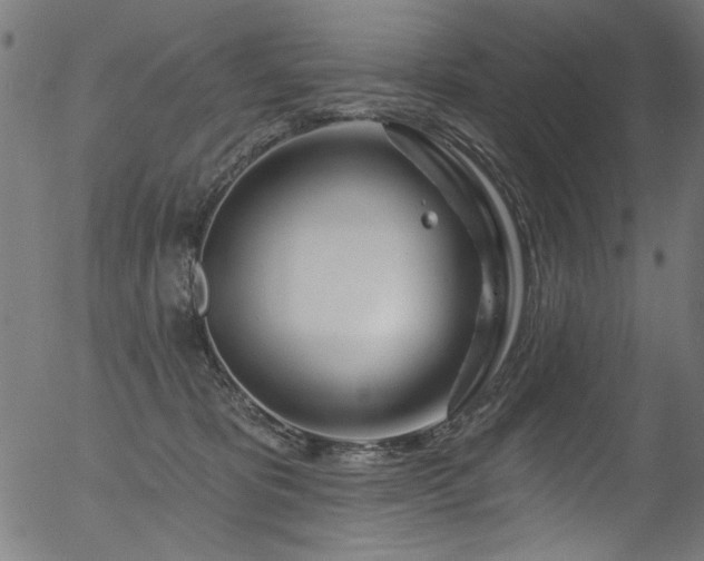 X0000056370325200508291407