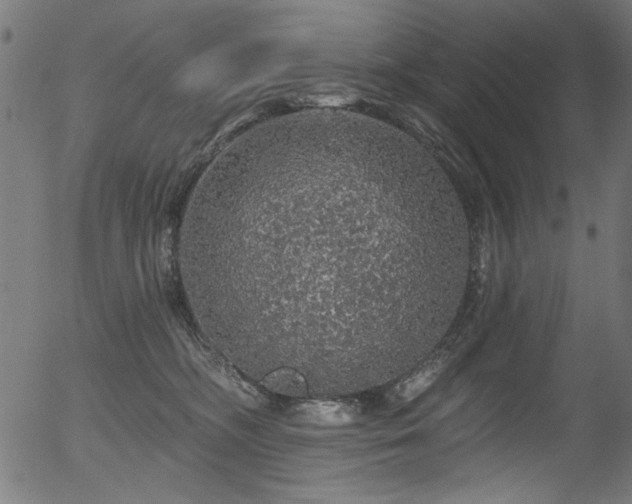 X0000056370326200508291407