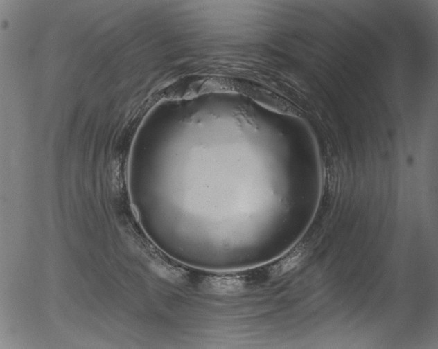 X0000056370327200508291407