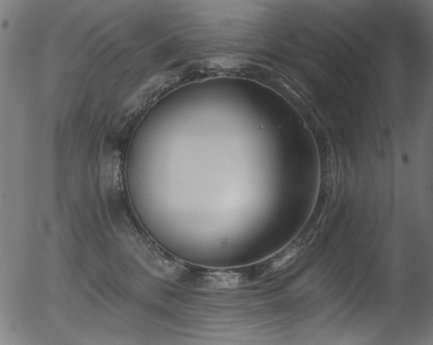 X0000056370328200508291407