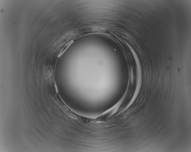 X0000056370329200508291407