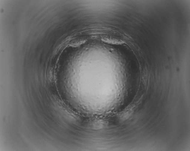 X0000056370330200508291407