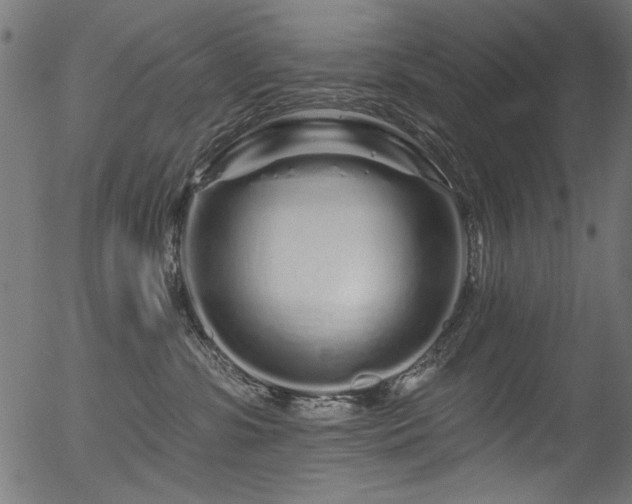 X0000056370331200508291407