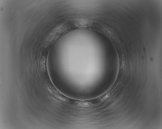 X0000056370332200508291407