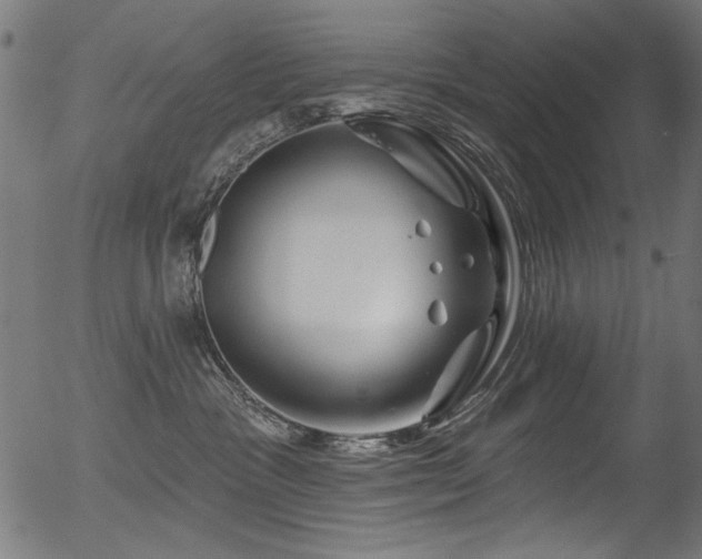 X0000056370333200508291407