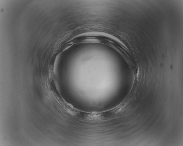 X0000056370335200508291407