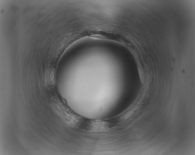 X0000056370336200508291407