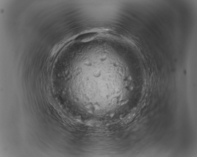 X0000056370337200508291406