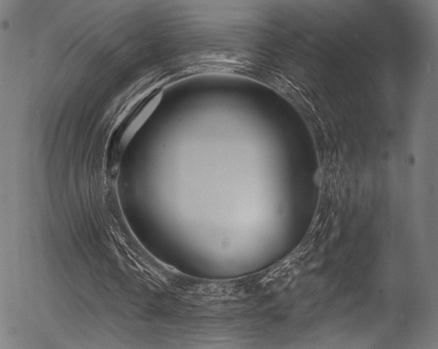 X0000056370338200508291406