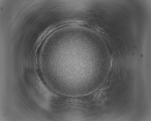 X0000056370339200508291406