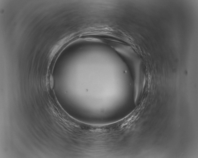 X0000056370340200508291407