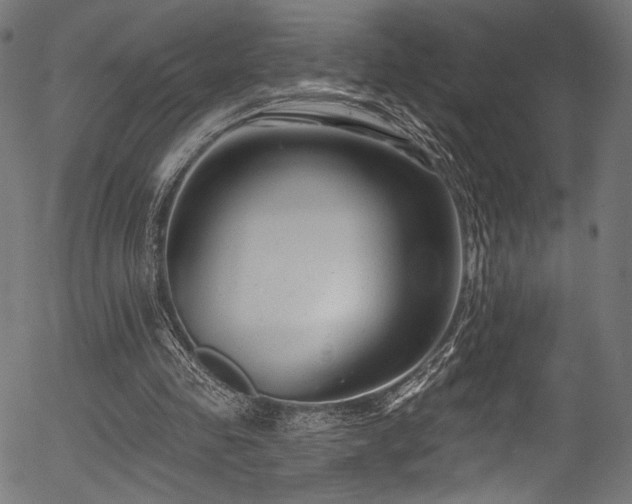 X0000056370341200508291407