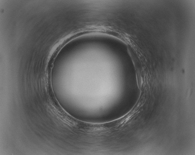 X0000056370342200508291407