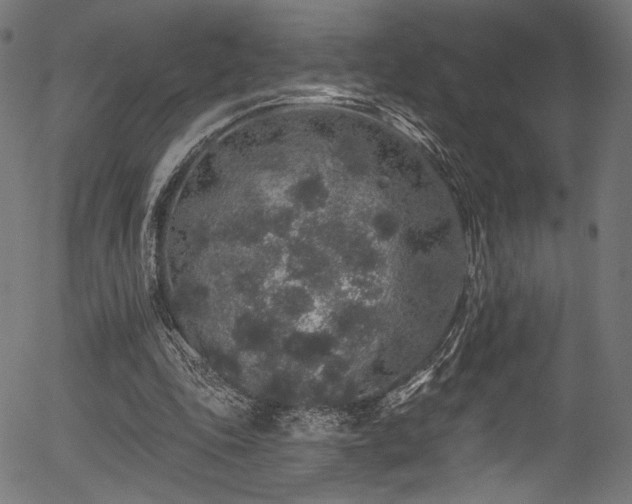 X0000056370343200508291407