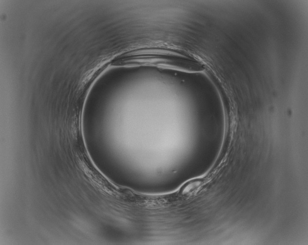 X0000056370345200508291407