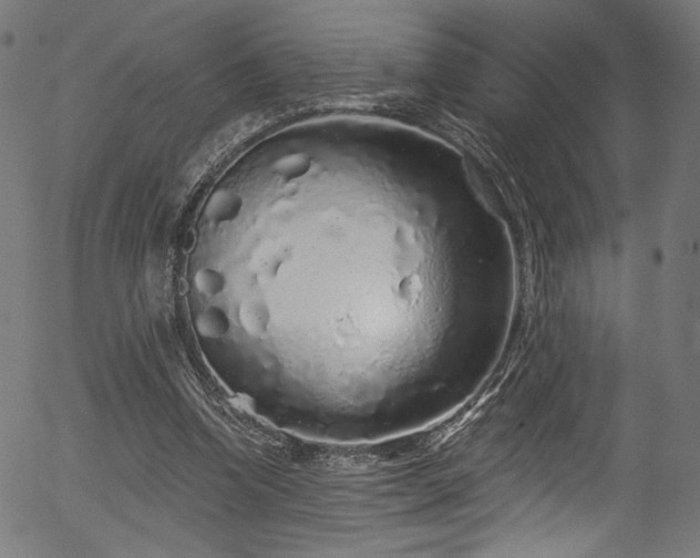 X0000056370346200508291407