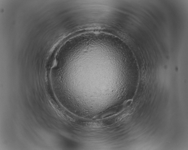 X0000056370347200508291407