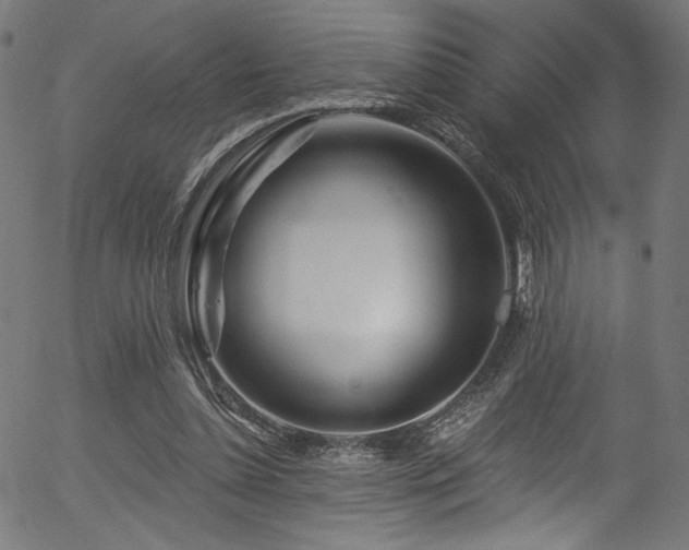 X0000056370348200508291407