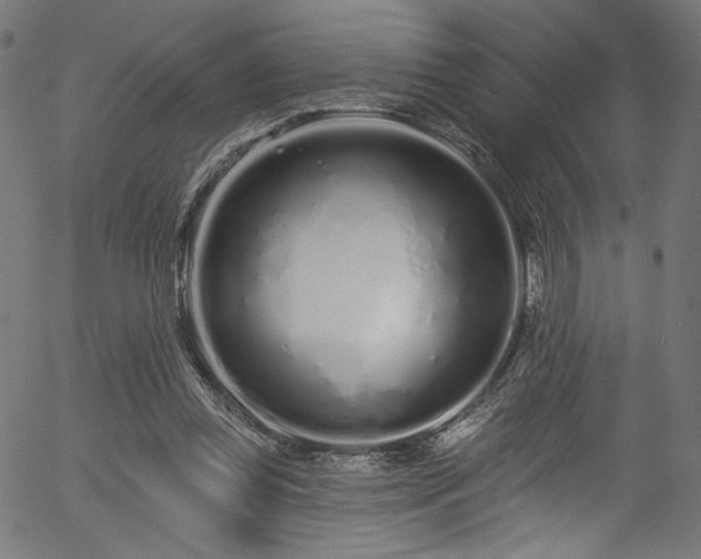 X0000056370349200508291407