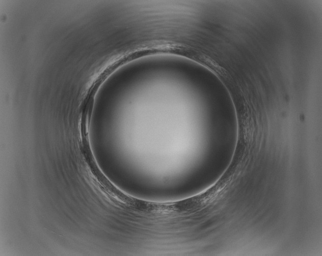 X0000056370350200508291407