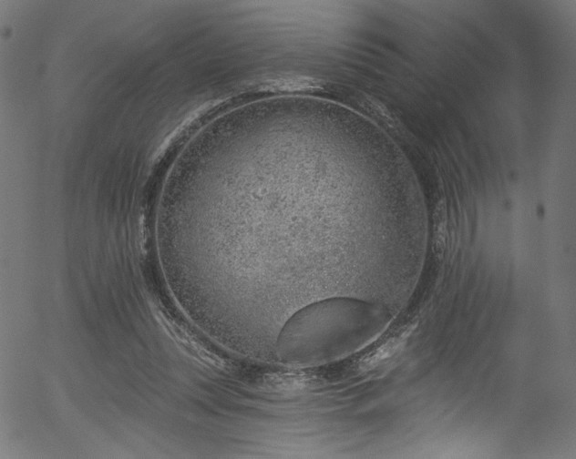 X0000056370351200508291407