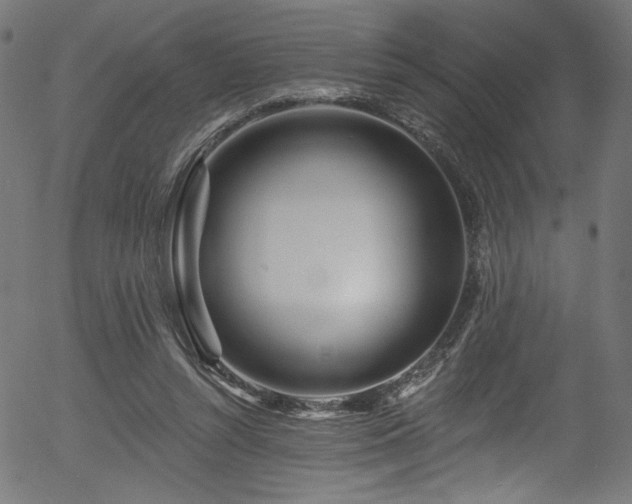 X0000056370352200508291407