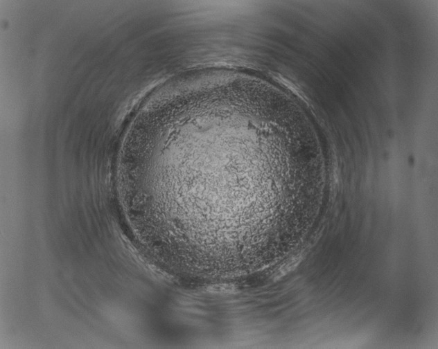 X0000056370353200508291407